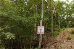 Big White Oak Tract 130