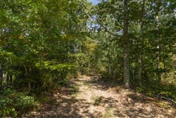 Big White Oak Tract 130