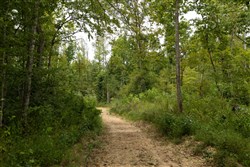 Big White Oak Tract 131