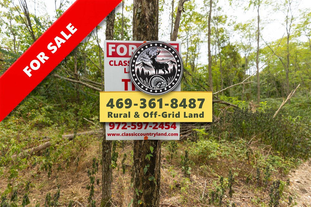 Big White Oak Tract 131 - Primary