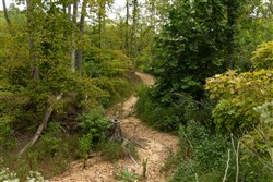 Big White Oak Tract 132