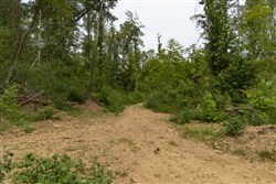 Big White Oak Tract 133