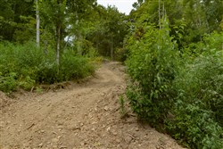 Big White Oak Tract 134