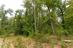 Big White Oak Tract 134
