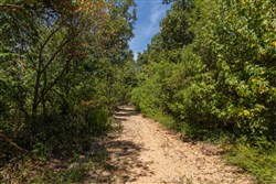 Big White Oak Tract 136