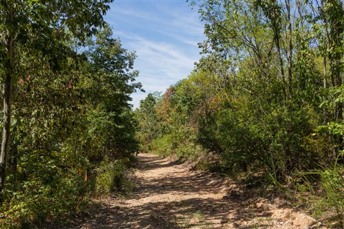 Big White Oak Tract 136