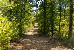 Big White Oak Tract 138