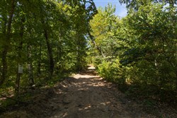Big White Oak Tract 138