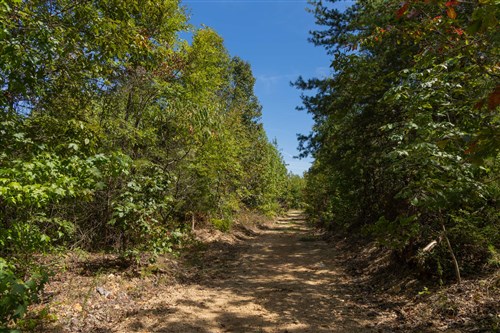 Big White Oak Tract 139