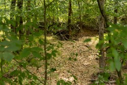 Big White Oak Tract 139