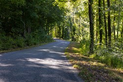 property photo for Big White Oak Tract 14, 15.98 acres for sale in Perry County, Tennessee