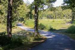 property photo for Big White Oak Tract 14, 15.98 acres for sale in Perry County, Tennessee
