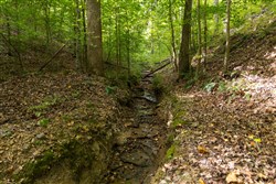 property photo for Big White Oak Tract 14, 15.98 acres for sale in Perry County, Tennessee