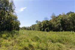 property photo for Big White Oak Tract 14, 15.98 acres for sale in Perry County, Tennessee