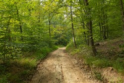 Big White Oak Tract 140