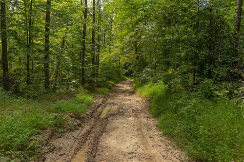 Big White Oak Tract 140