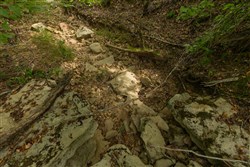 Big White Oak Tract 140