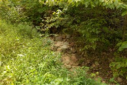 Big White Oak Tract 141