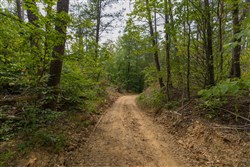 Big White Oak Tract 141