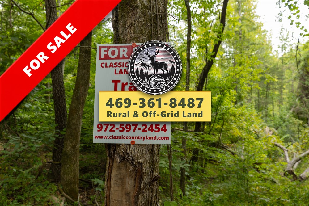 Big White Oak Tract 142 - Primary