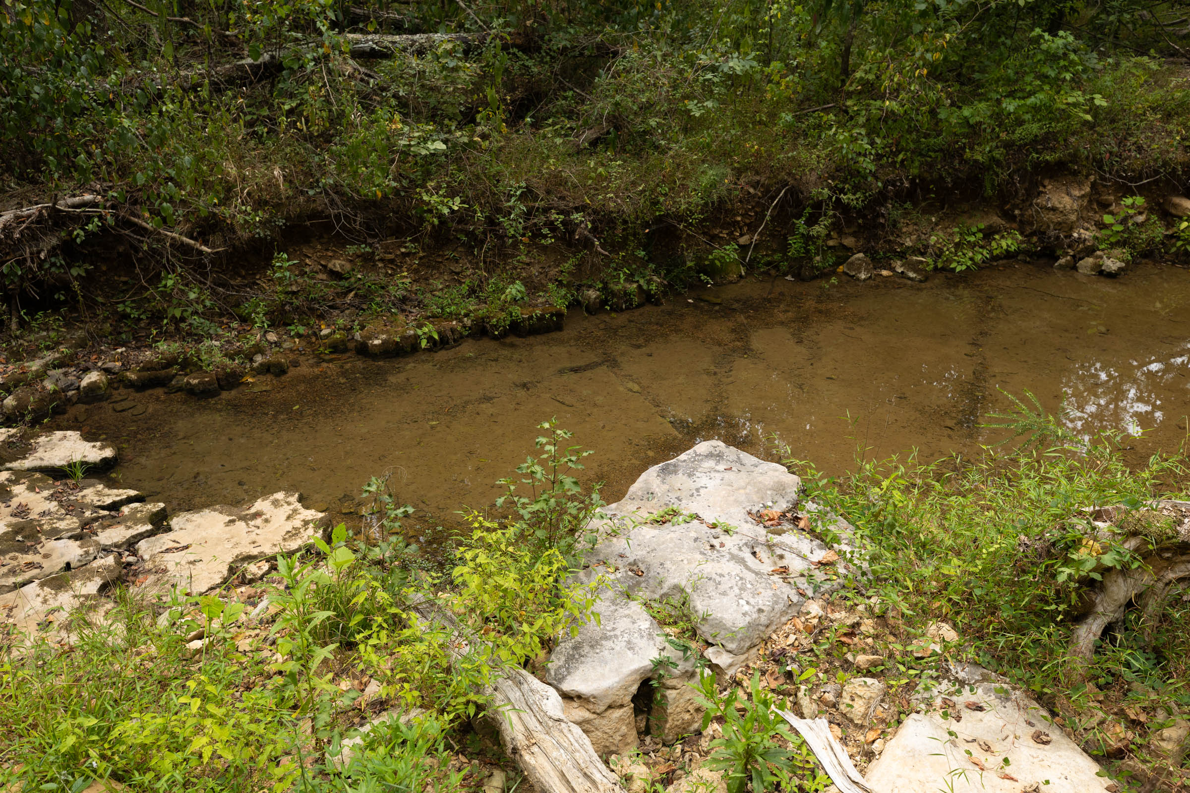 Tract 144 at Big White Oak in Perry County, Tennessee