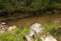 property photo for Big White Oak Tract 144, 15.37 acres for sale in Perry County, Tennessee