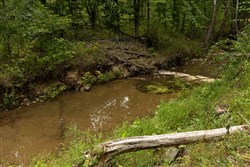 property photo for Big White Oak Tract 144, 15.37 acres for sale in Perry County, Tennessee