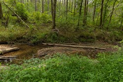 property photo for Big White Oak Tract 144, 15.37 acres for sale in Perry County, Tennessee