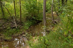 property photo for Big White Oak Tract 144, 15.37 acres for sale in Perry County, Tennessee