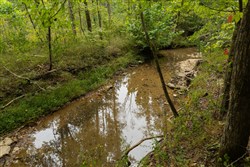 Big White Oak Tract 145