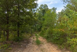 Big White Oak Tract 146