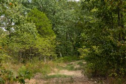 Big White Oak Tract 146
