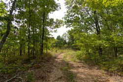 Big White Oak Tract 147