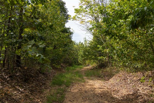 Big White Oak Tract 147