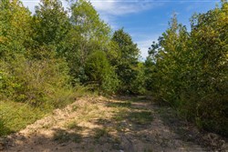 Big White Oak Tract 148