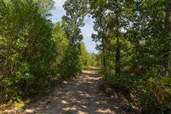 Big White Oak Tract 148