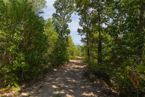 Big White Oak Tract 148