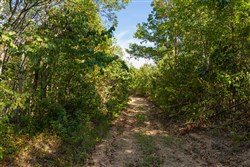 Big White Oak Tract 149