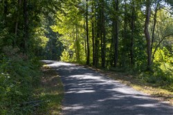 property photo for Big White Oak Tract 15, 14.25 acres for sale in Perry County, Tennessee