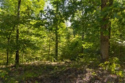 property photo for Big White Oak Tract 15, 14.25 acres for sale in Perry County, Tennessee