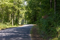 property photo for Big White Oak Tract 15, 14.25 acres for sale in Perry County, Tennessee