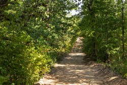 Big White Oak Tract 150