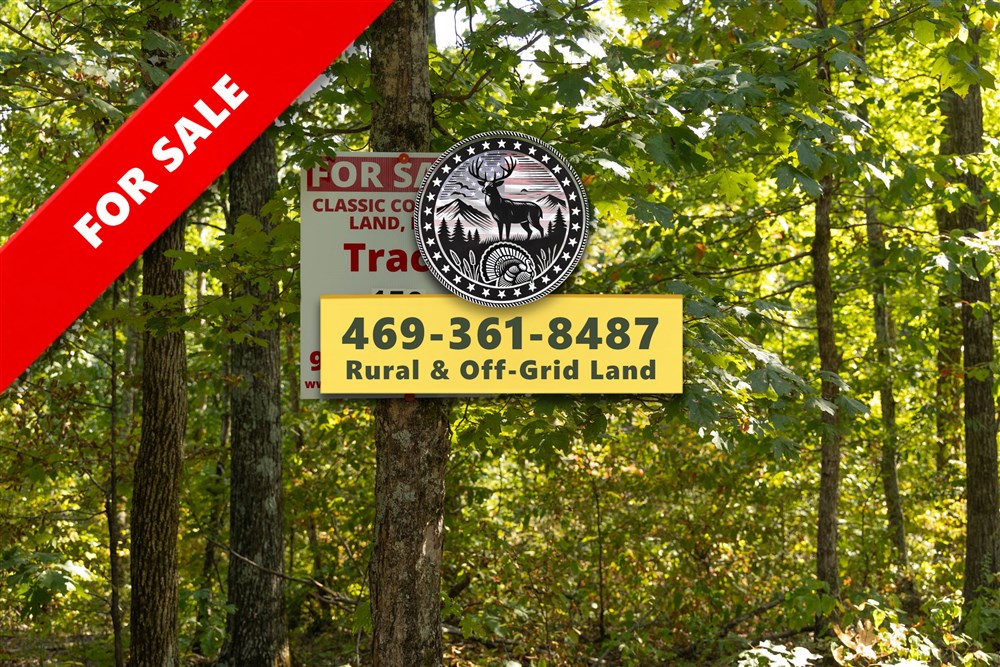 Big White Oak Tract 150 - Primary