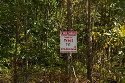 Big White Oak Tract 151