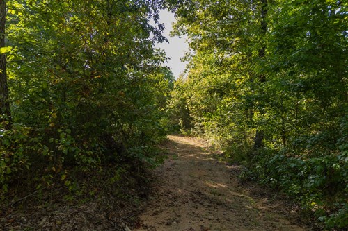 Big White Oak Tract 151
