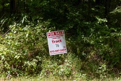 Big White Oak Tract 16