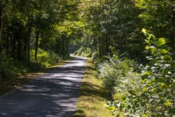 Big White Oak Tract 16