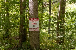 property photo for Big White Oak Tract 17, 16.59 acres for sale in Perry County, Tennessee