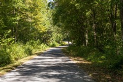 property photo for Big White Oak Tract 17, 16.59 acres for sale in Perry County, Tennessee