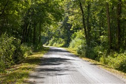 property photo for Big White Oak Tract 17, 16.59 acres for sale in Perry County, Tennessee
